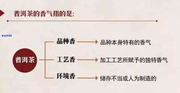 普洱茶香的全面解读：如何描述、品鉴与欣普洱茶的香气？