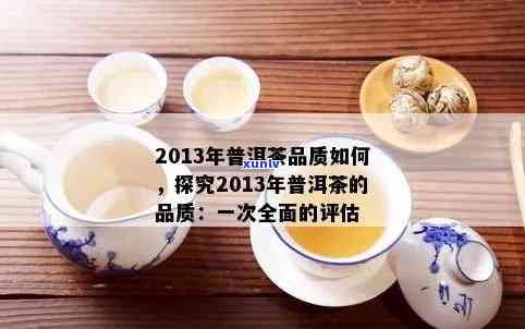 新普洱茶品质评价与品饮技巧，让茶叶口感更佳的全方位指南