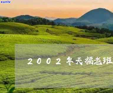 天福2002年老班章：一款全面解决用户需求的高品质茶叶