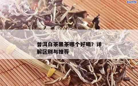 普洱是白茶还是黑茶