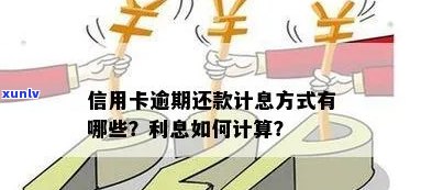 信用卡逾期300天还款利息计算 *** 和相关细节解析