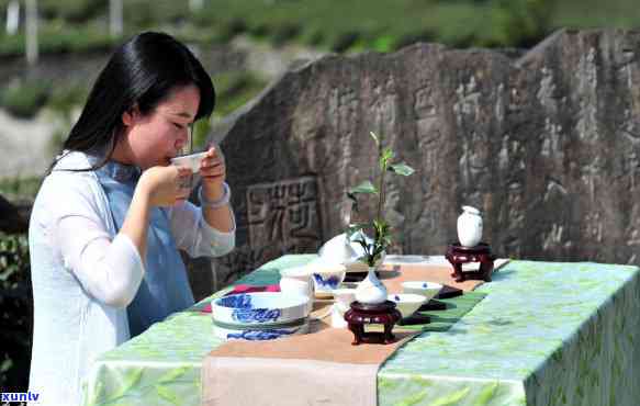 普洱是黑茶还是白茶？普洱茶的功效和分类。