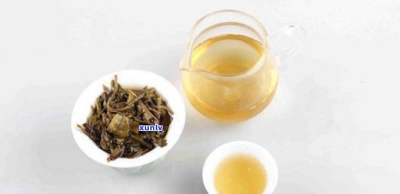 天饮茶：白茶还是普洱茶更适合？