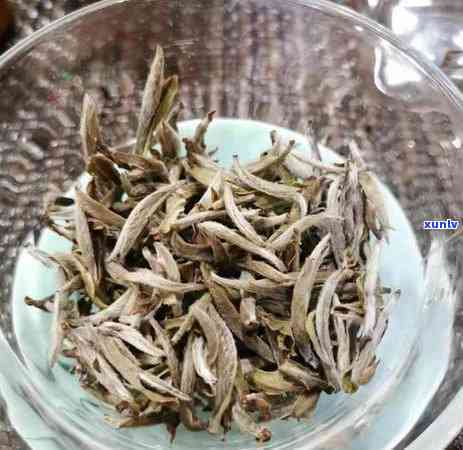 春天饮茶，白茶还是普洱？什么茶叶适合这个节？