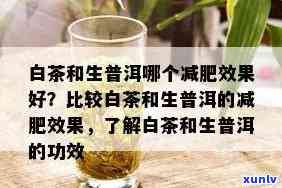 深入探讨普洱茶与白茶的健效益：一场减肥效果的对比研究