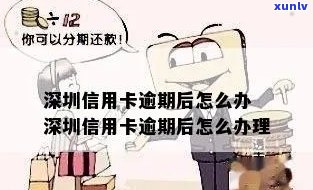 深户小额信用卡逾期