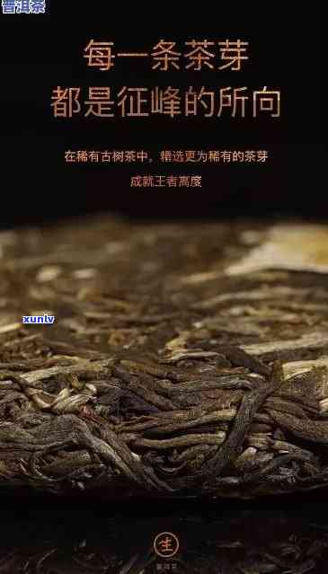 老班章珍藏版普洱茶：稀世珍品的独特魅力