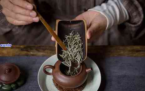 老班章普洱茶饼价格及品饮解析：一款不容错过的白茶珍品