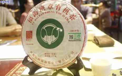 老班章普洱茶饼价格及品饮解析：一款不容错过的白茶珍品