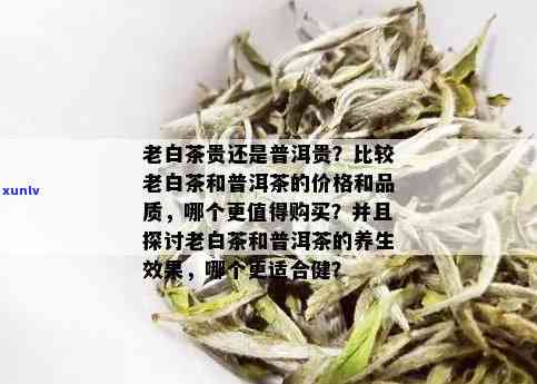 白茶与普洱茶：收藏价值和口感对比探讨，哪个更值得品鉴？