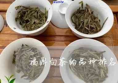 福鼎白茶的种类和地位：名茶还是其他？