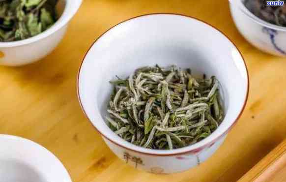 福鼎白茶：属于普洱茶类还是绿茶？一篇文章全面解答你的疑惑