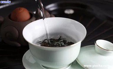 普洱茶加白茶一起泡：好喝吗，可以存放一块吗？