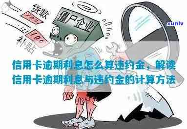 银监会信用卡违约金与利息详细解析：用户指南及计算 *** 