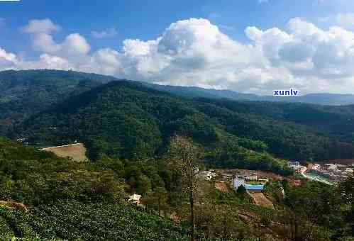 探寻云南老班章风景区：位于章村，与普洱茶文化紧密相连的绝美风景