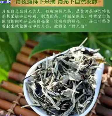 普洱月光白茶怎么泡的好喝？属于什么茶？月光白普洱茶怎么样泡？