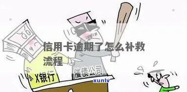 信用卡逾期前怎么补救