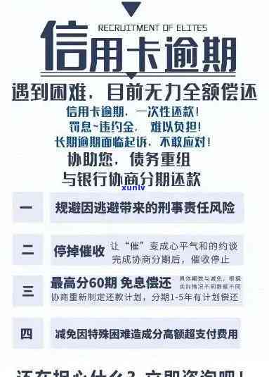 信用卡逾期6个月后停止计息，是否还有其他可行方案？