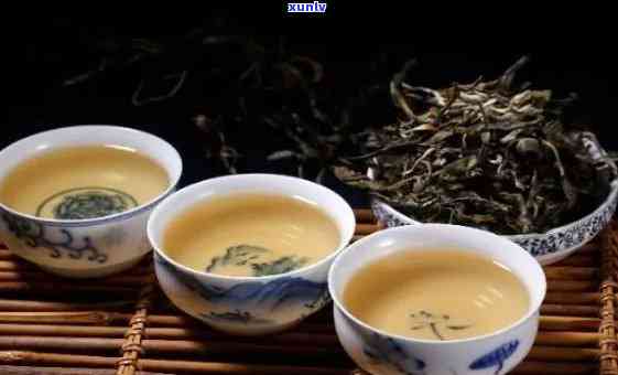 白茶的健益处与普洱茶的协同作用：一份全面的指南