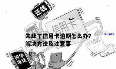 失业期间信用卡逾期问题解决 *** 与建议