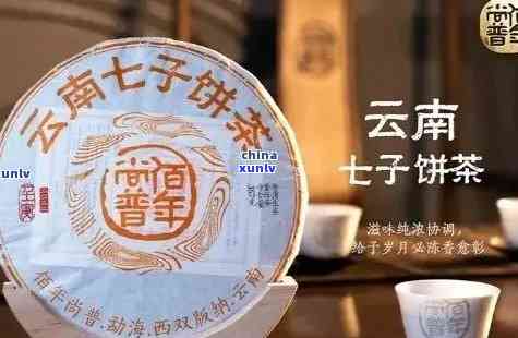 300年树龄老班章普洱茶及云南七子饼茶价格及购买信息