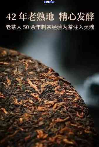 五年陈香老班章熟茶：品味与收藏的完美结合