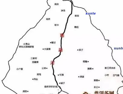 易武茶与老班章：产地、口感与普洱茶区别的比较分析