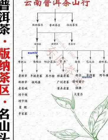 布朗山老班章古树茶：品质、产地、 *** 工艺与品饮 *** 全方位解析