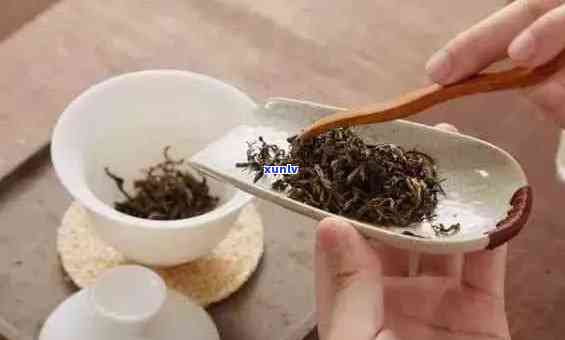 普洱小茶饼冲泡步骤和所需时间的全面指南