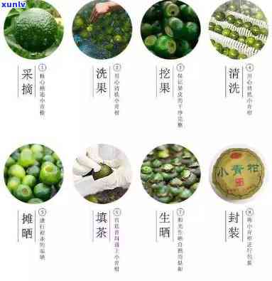 青柑普洱茶的精 *** 工艺：从原料选择到口感调和的全方位指南