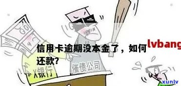 信用卡逾期本金查询全面指南：如何查询、影响及解决 *** 一网打尽