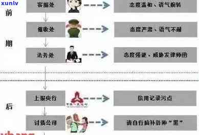 全面掌握平安信用卡逾期报案流程：从开始到解决的完整指南