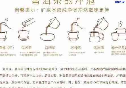 冬适宜的普洱茶冲泡比例及一次冲泡量探究