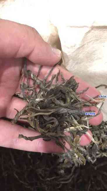 班章普洱茶真伪鉴别：藏剑山山国老班章探究