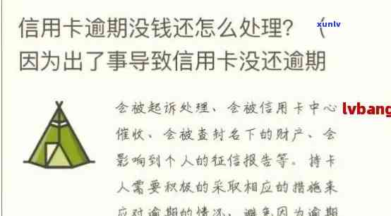 亲信用卡账户逾期后的处理策略与启示