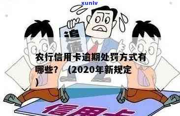 新信用卡逾期账单清除攻略：如何快速消除不良记录并避免影响信用？