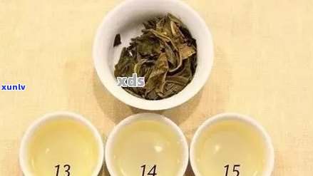 普洱茶与乌龙茶：口感、功效与适用场合对比，哪个更适合您的口味？