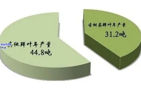 2007年老班章茶叶价格走势分析及市场影响因素全面解析