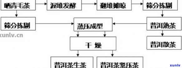 普洱茶：品种、 *** 工艺、品鉴 *** 和健益处全面解析