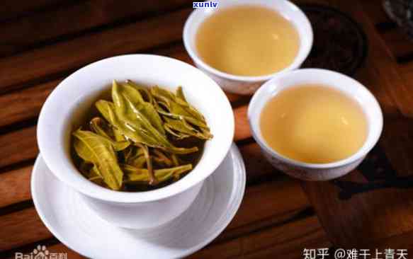 普洱茶是乌龙茶还是属于黑茶类：权威解答与比较分析