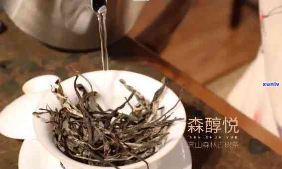 老班章茶叶隔夜是否可以继续饮用？解答关于茶叶保存与冲泡的全面问题