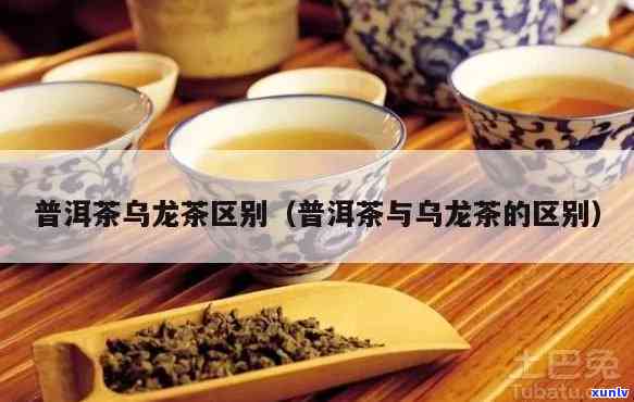 普洱茶与乌龙茶的异同及其独特魅力解析