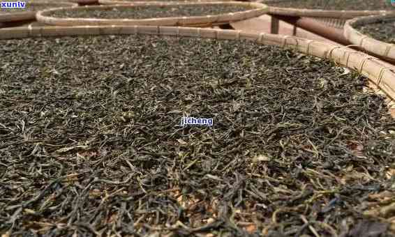 普洱茶：乌龙茶还是黑茶？探索其起源、 *** 工艺及口感特点