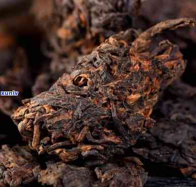 老茶头与普洱茶：独特风味与 *** 工艺的比较