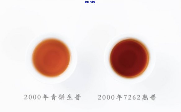 2000年普洱茶：一款跨越时空的文化传承与品味之旅