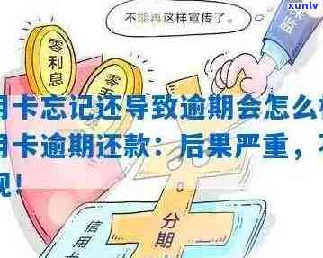 逾期还款信用卡的后果与解决办法：了解详细信息并避免信用损失