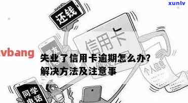 失业信用卡逾期30次