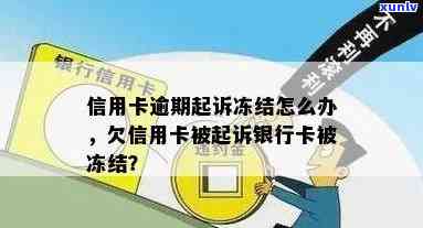 起诉银行卡冻结信用卡处理全攻略：解答疑惑，保障权益