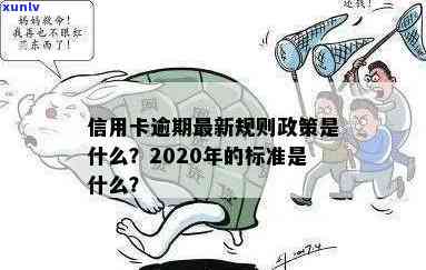 2020年信用卡逾期还款政策解读：新规定下的信用评估标准