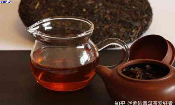 普洱老茶用什么泥料好：紫砂壶泡普洱茶的选择